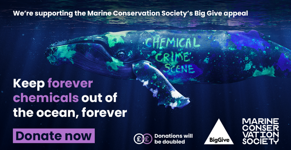 World Earth Day: Taking Action for our Planet and Oceans