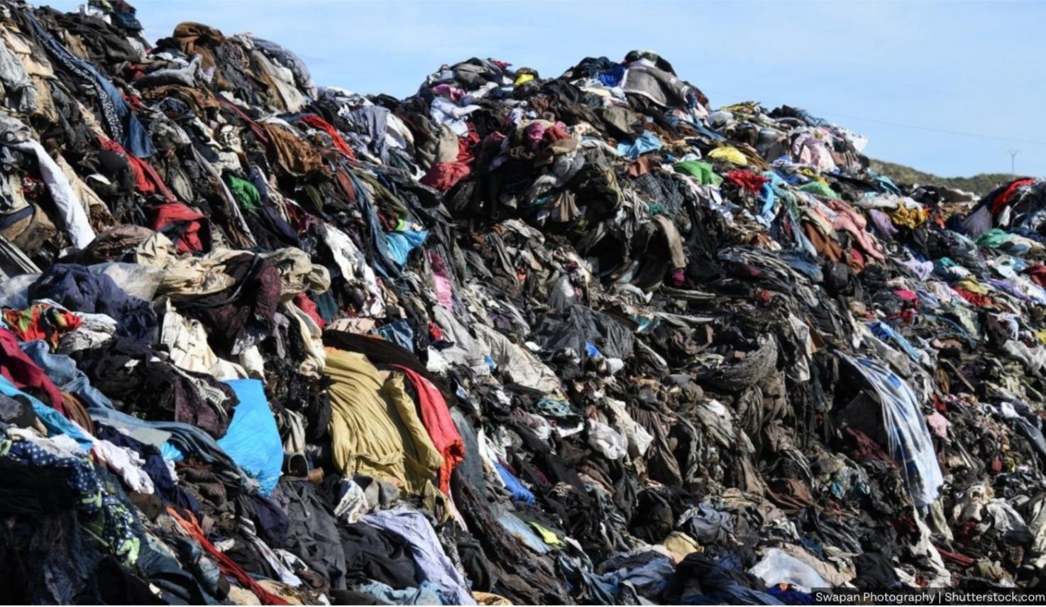 Black Friday Fashion: What You Need to Know Before You Buy